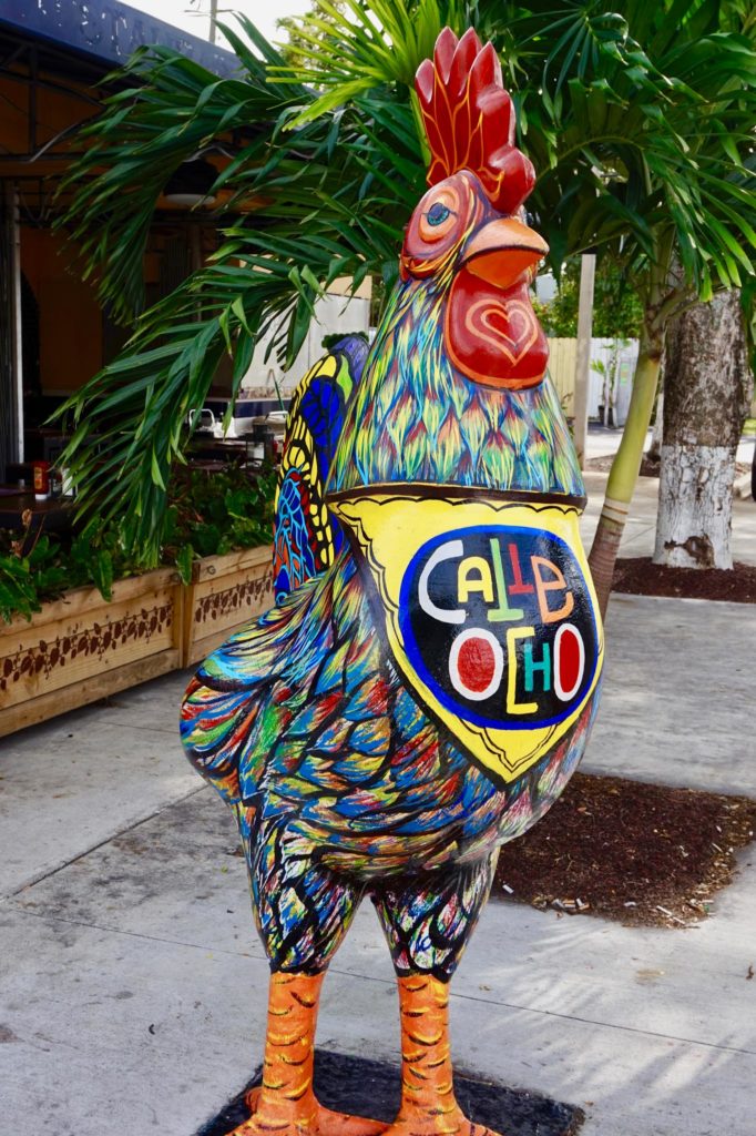 rooster on calle ocho in Miami Florida