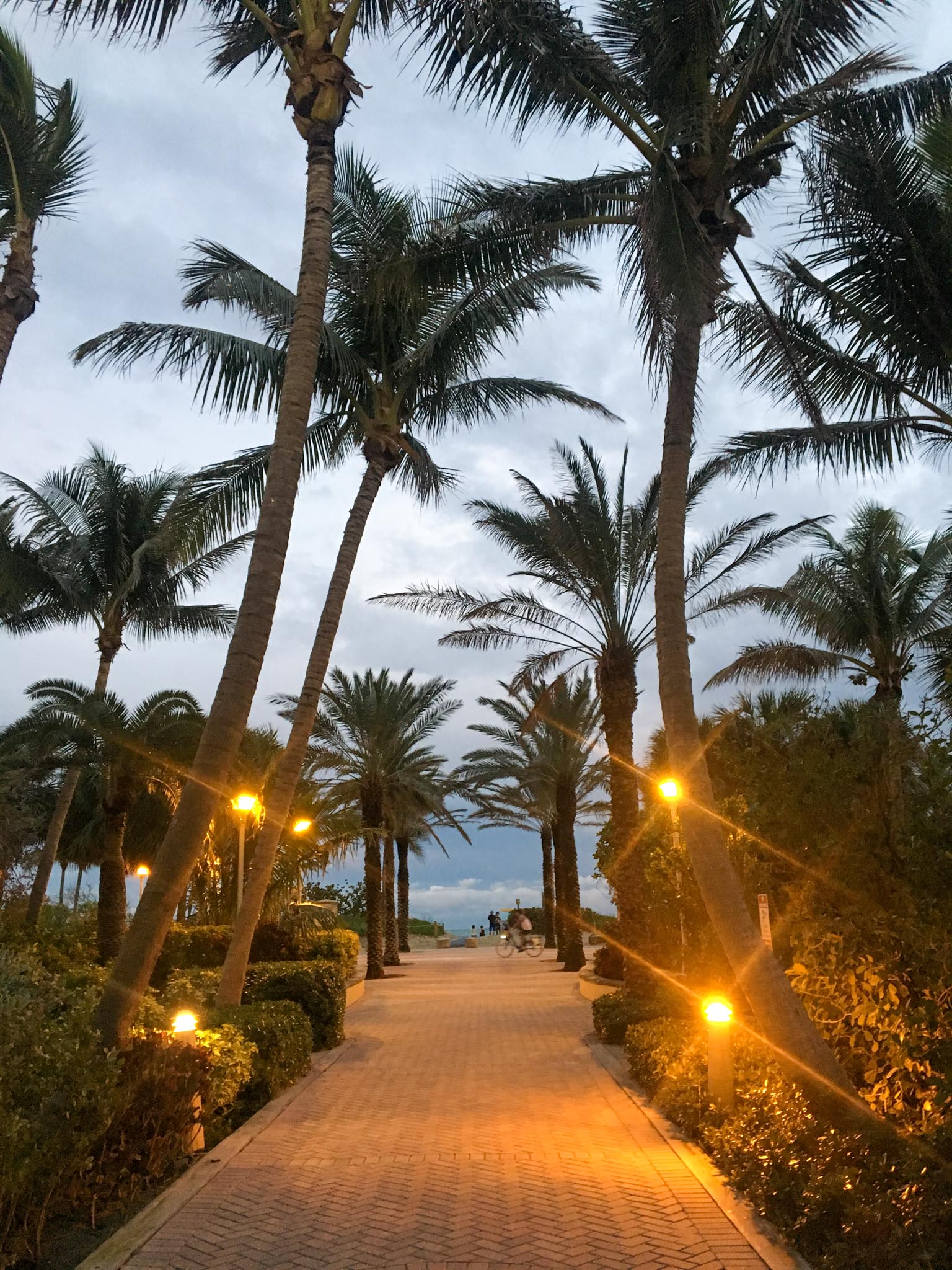 beach at night in Miami Florida