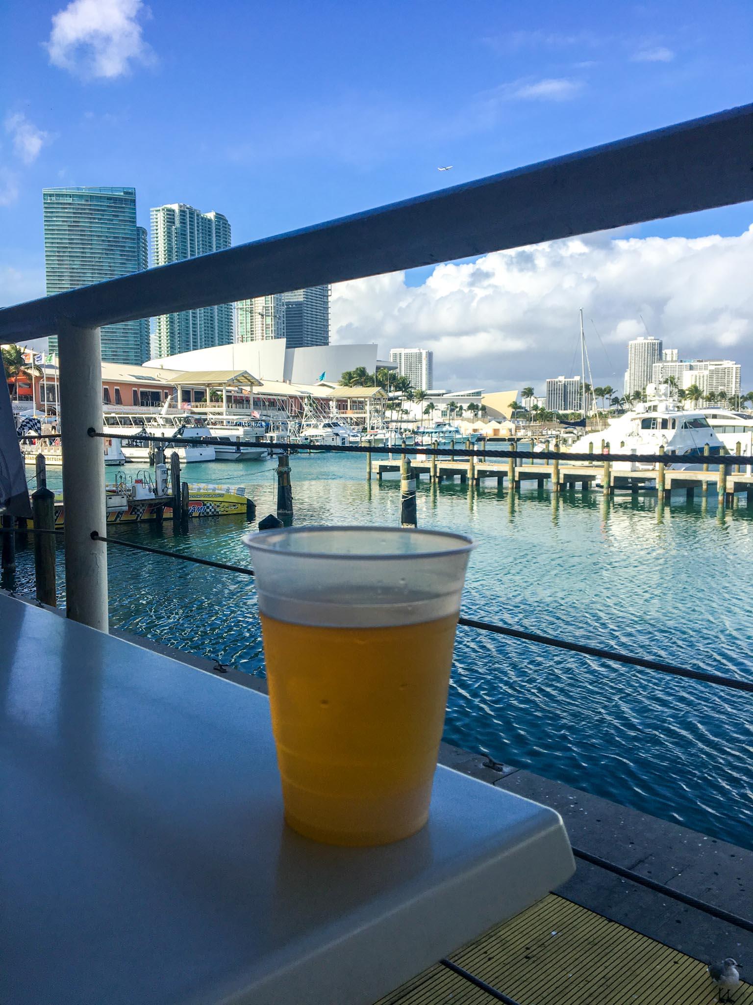 having a beer in bayside marketplace in Miami Florida