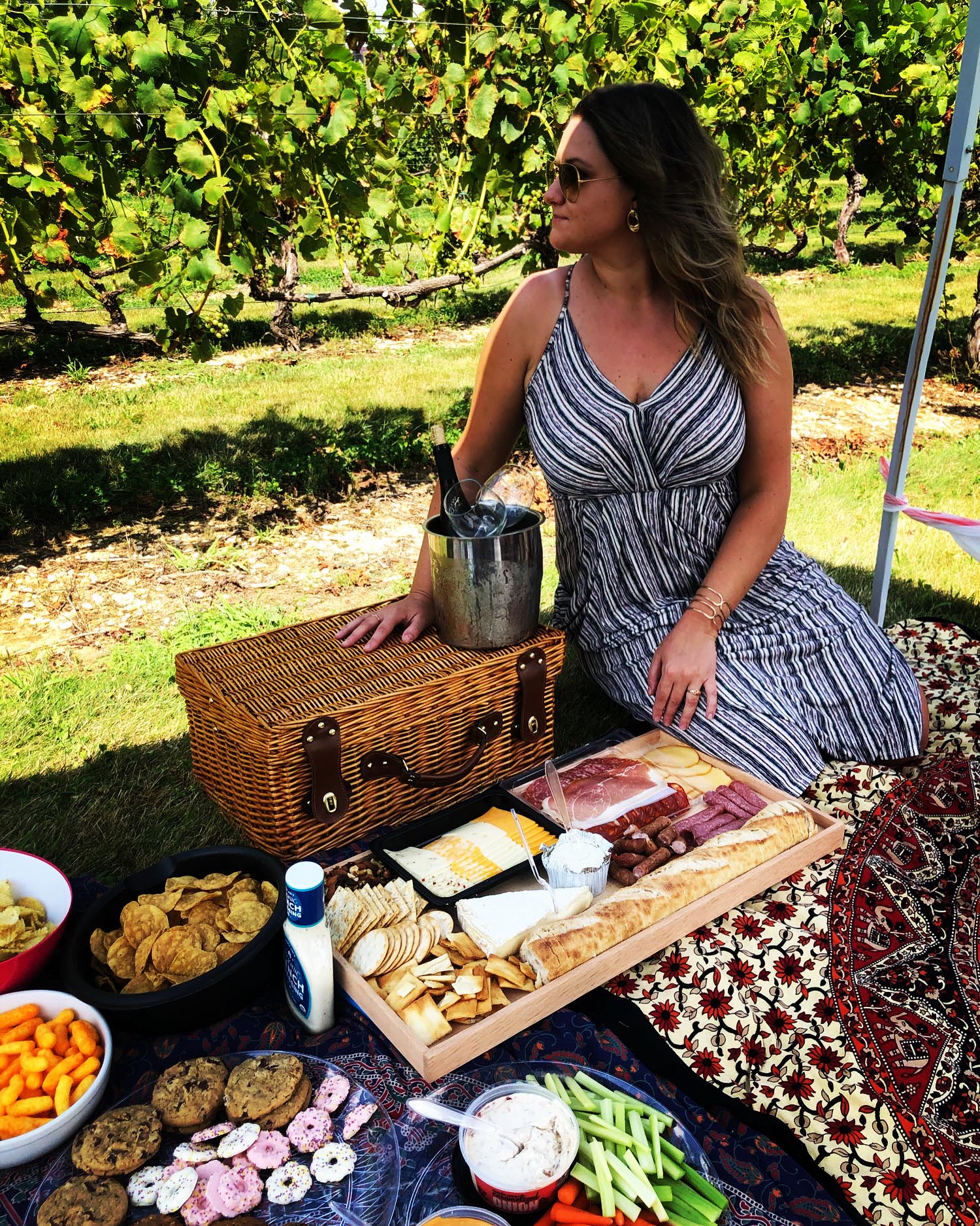 picnic at working dog winery