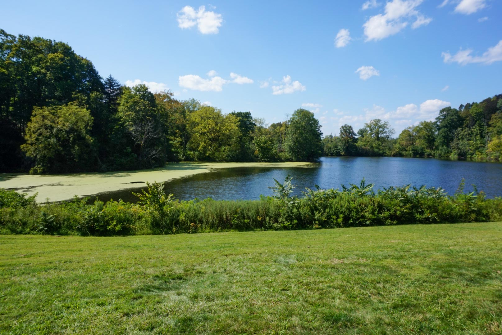 duke farms pond in new jersey