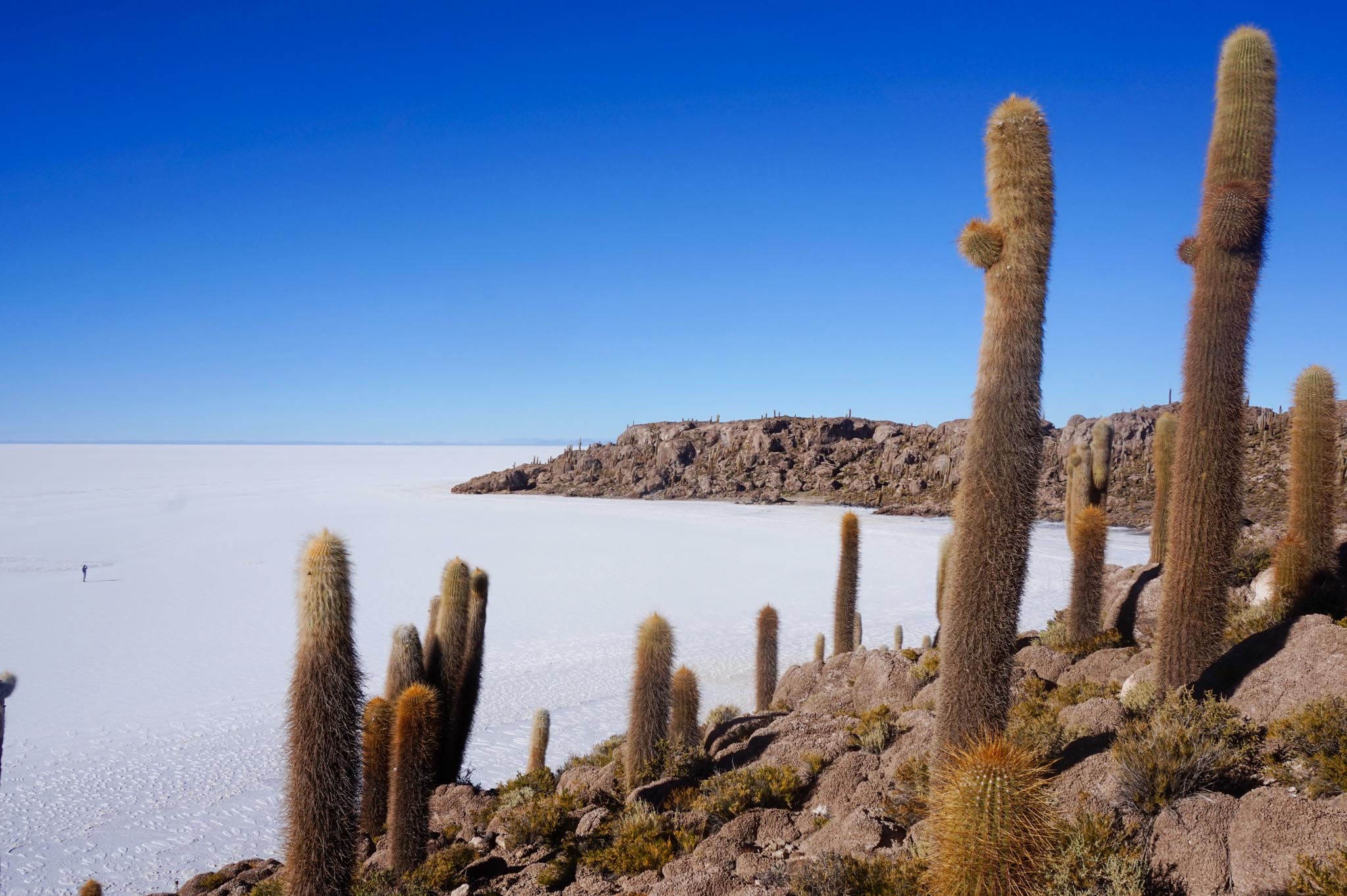 A tour through the Bolivia Salt Flats - One of the most beautiful ...